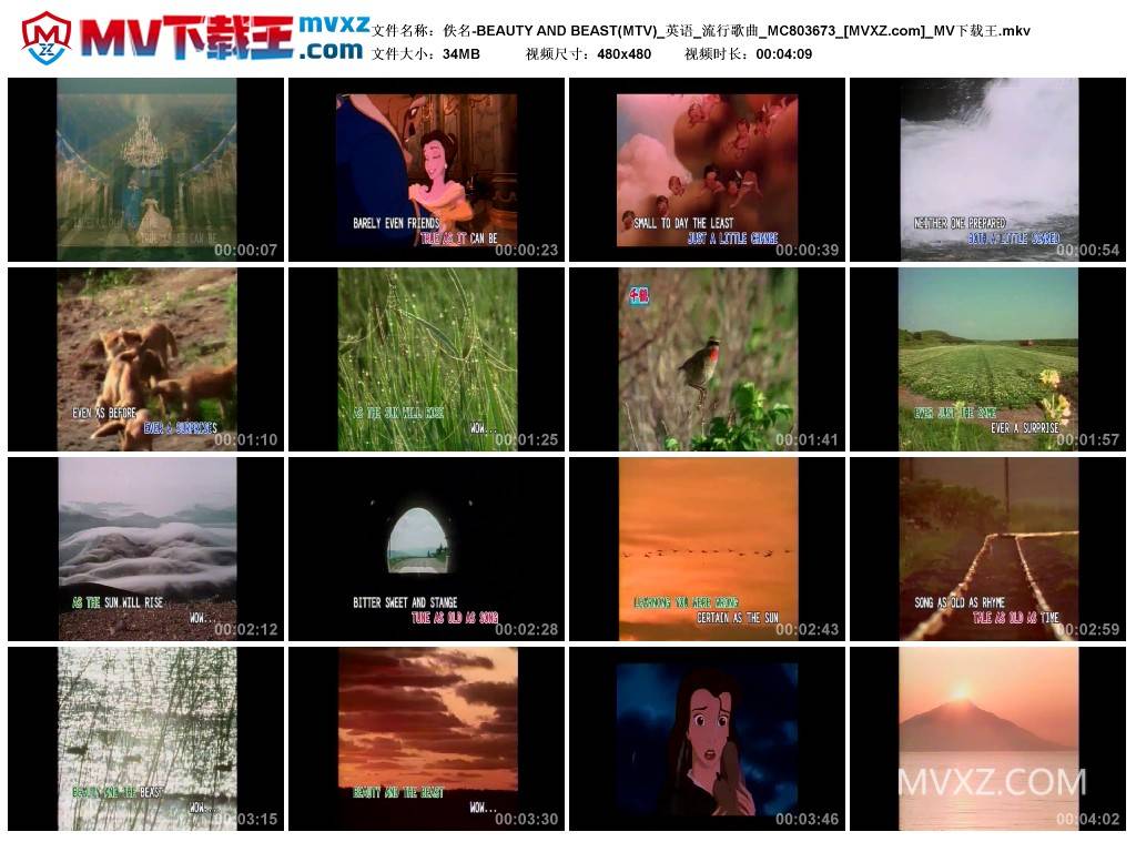 佚名-BEAUTY AND BEAST(MTV)_英语_流行歌曲_MC803673